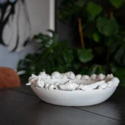 ByOn Shell Schotel 38 Cm -Gense Verkoop 43316 01 02 d878647021