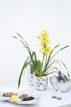 Tom Dixon Cloud Schotel -Gense Verkoop 501804 01 9 EnvironmentImage 5619be891c