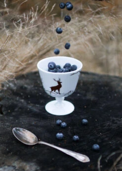 Alveskog Dessertkom Op Voet Ø11 Cm 7 Alveskog Dessertkom Op Voet Ø11 Cm -Gense Verkoop 516193 01 2 EnvironmentImage 37fd77c965