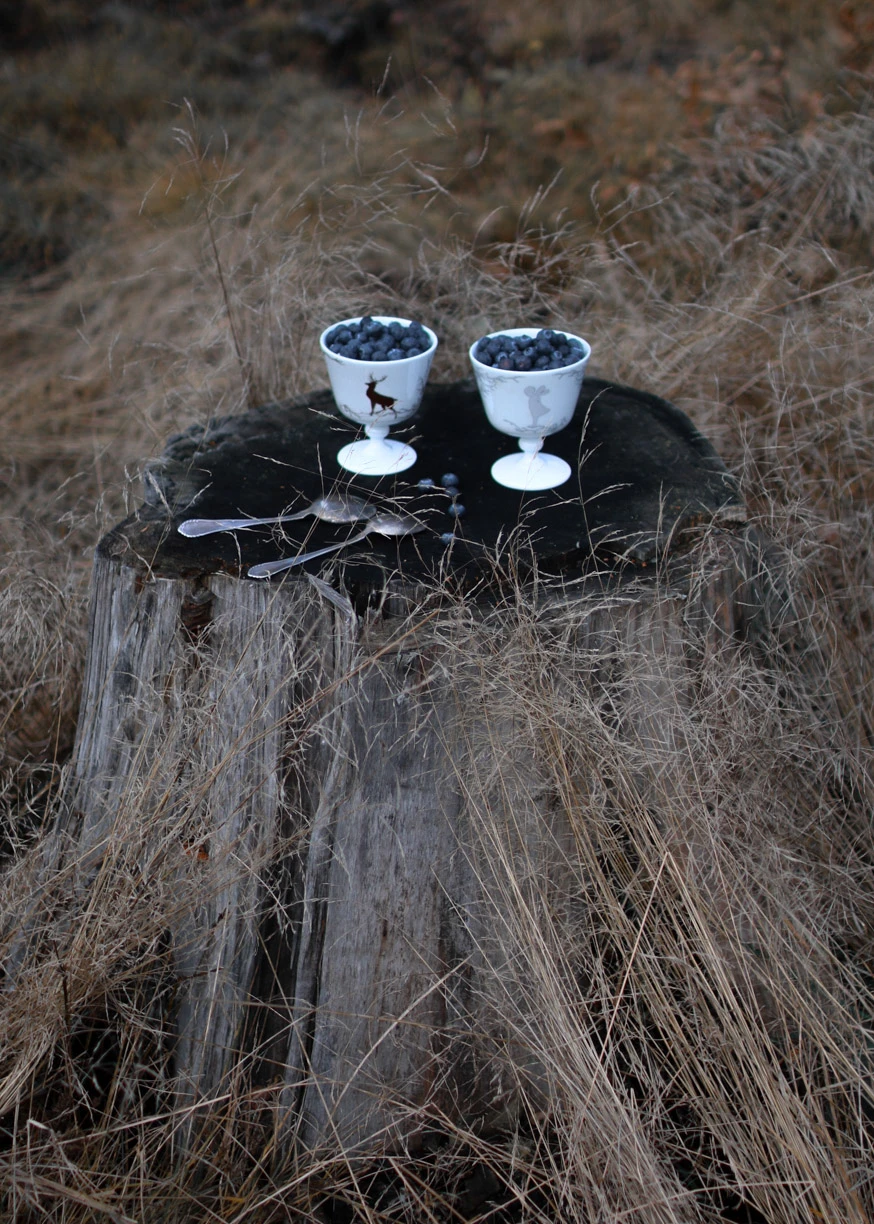 Alveskog Dessertkom Op Voet Ø11 Cm 6 Alveskog Dessertkom Op Voet Ø11 Cm - Afbeelding 4