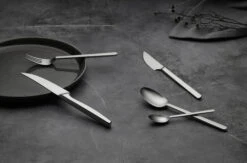 Gense Norm Dinervork -Gense Verkoop 568747 01 11 EnvironmentImage 5d985039d3